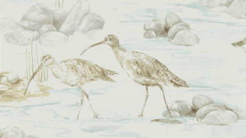 Estuary Birds 216494